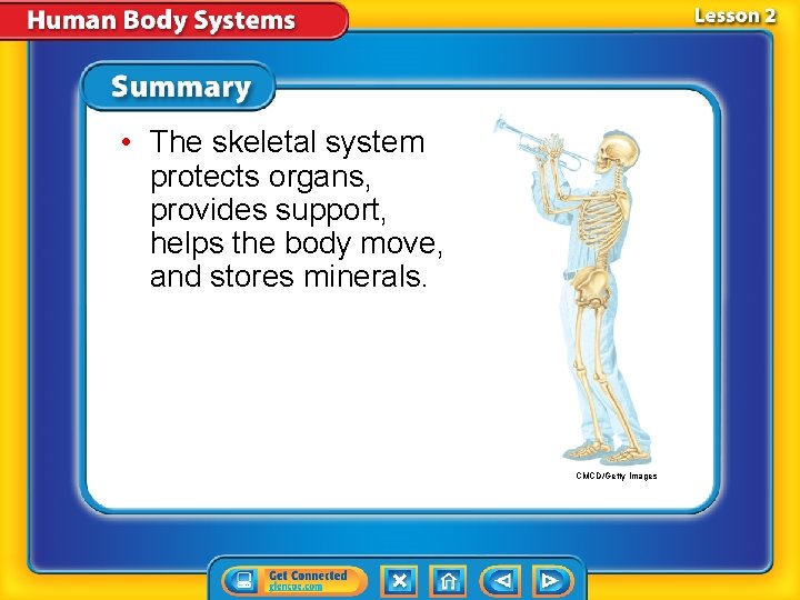  • The skeletal system protects organs, provides support, helps the body move, and