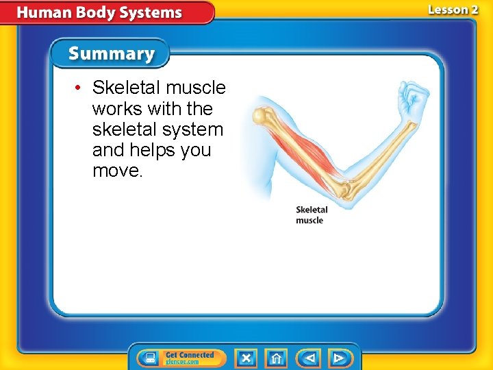  • Skeletal muscle works with the skeletal system and helps you move. 