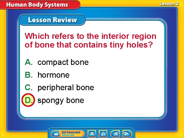 Which refers to the interior region of bone that contains tiny holes? A. compact