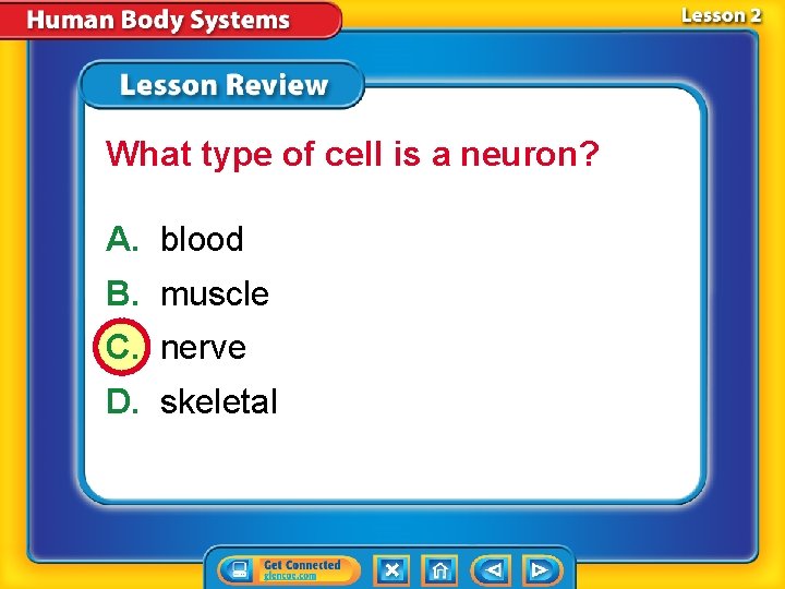 What type of cell is a neuron? A. blood B. muscle C. nerve D.