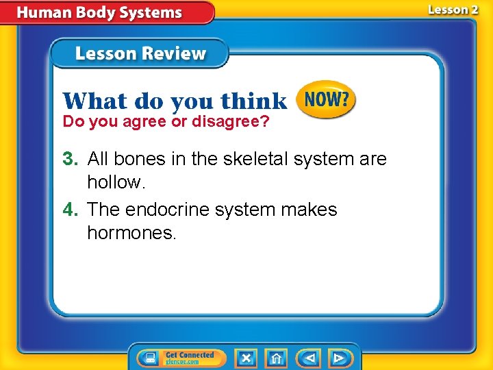 Do you agree or disagree? 3. All bones in the skeletal system are hollow.
