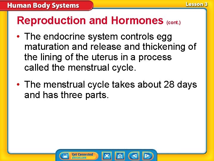 Reproduction and Hormones (cont. ) • The endocrine system controls egg maturation and release