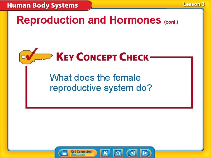 Reproduction and Hormones (cont. ) What does the female reproductive system do? 