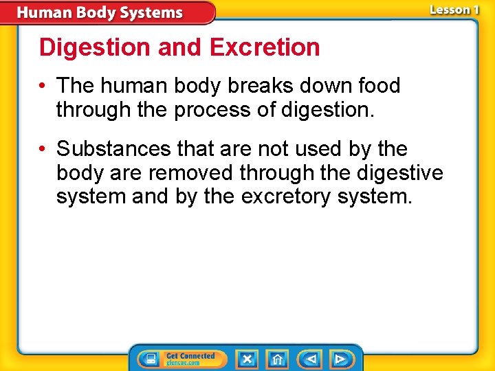 Digestion and Excretion • The human body breaks down food through the process of