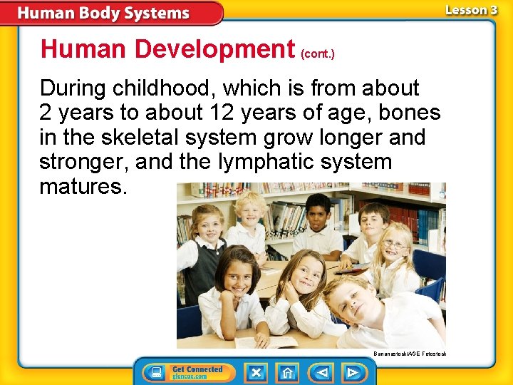 Human Development (cont. ) During childhood, which is from about 2 years to about