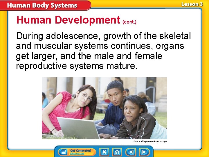 Human Development (cont. ) During adolescence, growth of the skeletal and muscular systems continues,