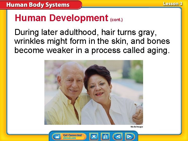 Human Development (cont. ) During later adulthood, hair turns gray, wrinkles might form in