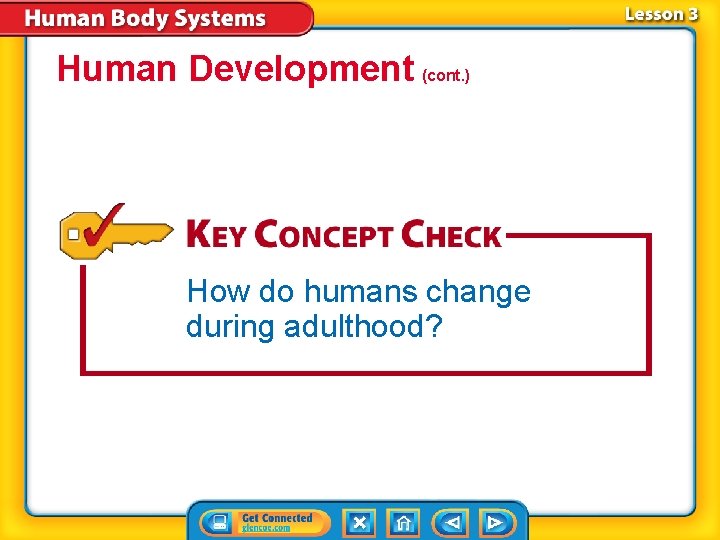 Human Development (cont. ) How do humans change during adulthood? 