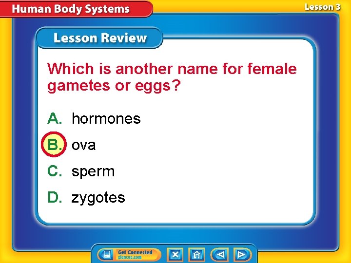 Which is another name for female gametes or eggs? A. hormones B. ova C.