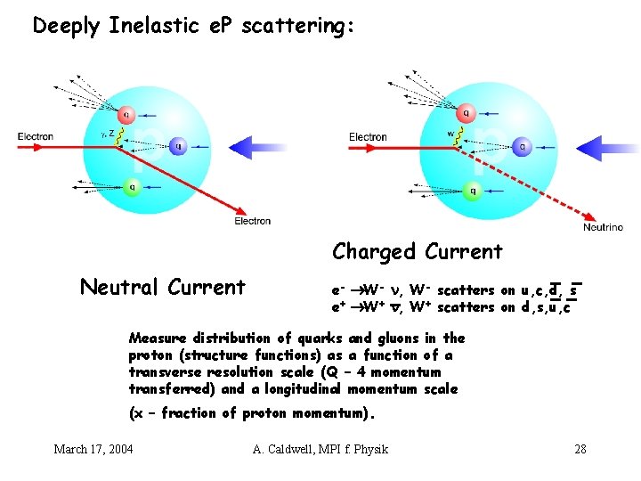 Deeply Inelastic e. P scattering: Charged Current Neutral Current e- W- , W- scatters