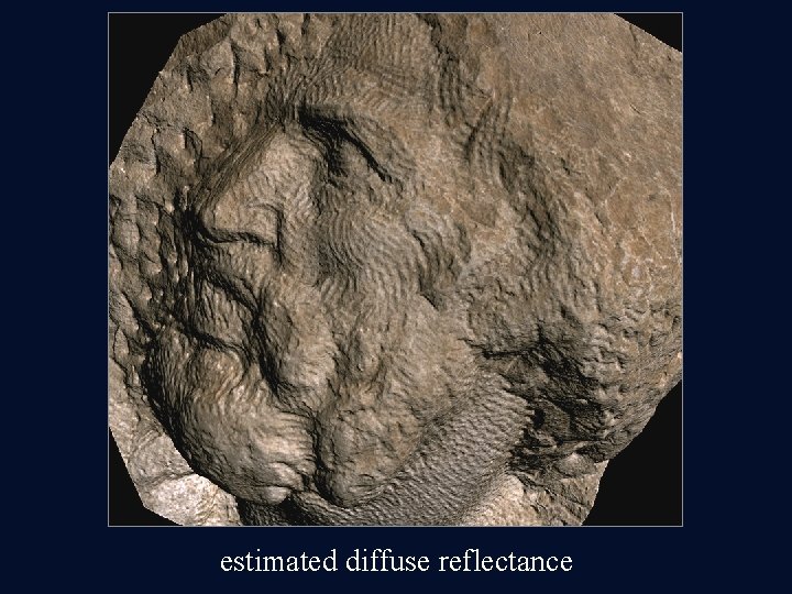 estimated diffuse reflectance estimated diffuse reflectance
