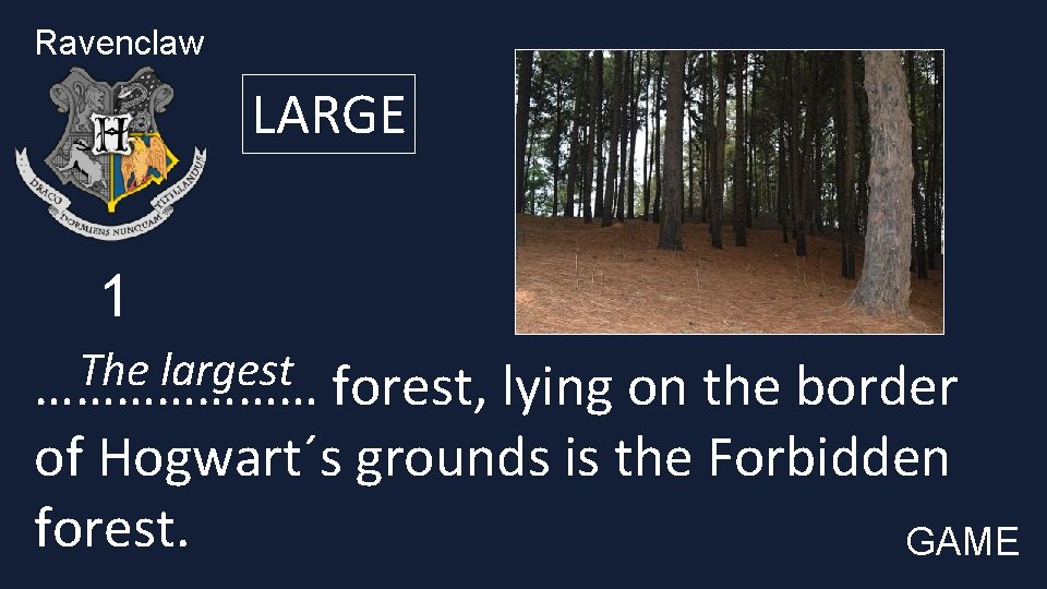 Ravenclaw LARGE 1 The largest ………………… forest, lying on the border of Hogwart´s grounds