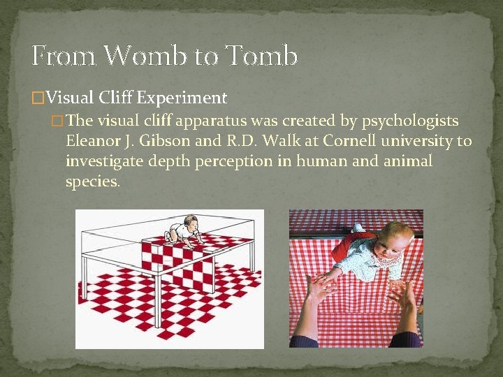 From Womb to Tomb �Visual Cliff Experiment � The visual cliff apparatus was created