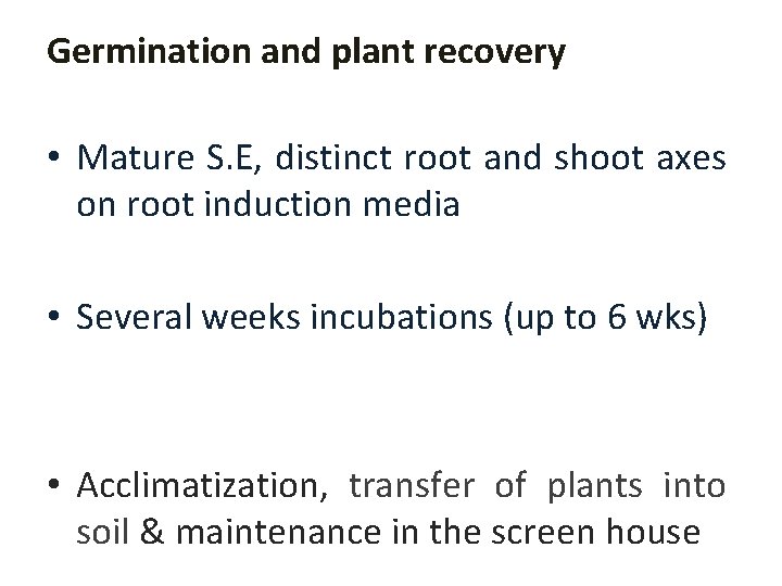 Germination and plant recovery • Mature S. E, distinct root and shoot axes on