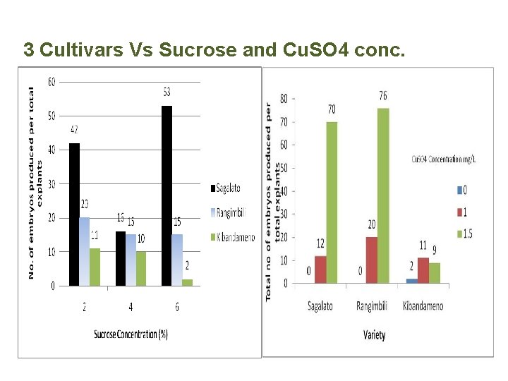 3 Cultivars Vs Sucrose and Cu. SO 4 conc. 