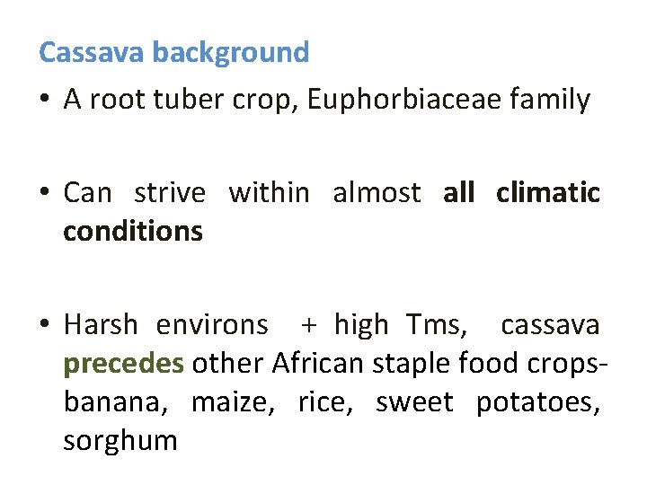 Cassava background • A root tuber crop, Euphorbiaceae family • Can strive within almost