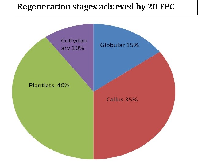 Regeneration stages achieved by 20 FPC 