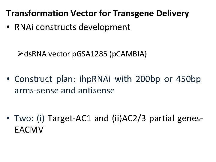 Transformation Vector for Transgene Delivery • RNAi constructs development Øds. RNA vector p. GSA