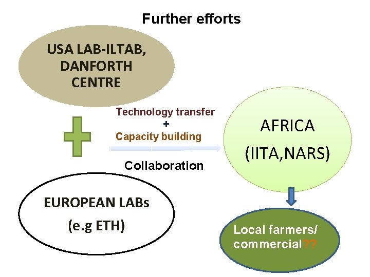 Further efforts USA LAB-ILTAB, DANFORTH CENTRE Technology transfer + Capacity building Collaboration EUROPEAN LABs