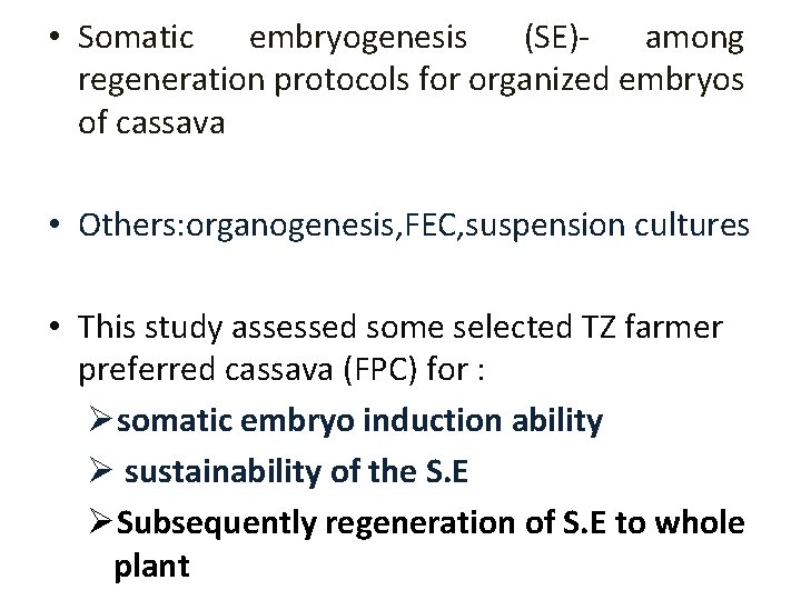  • Somatic embryogenesis (SE)among regeneration protocols for organized embryos of cassava • Others: