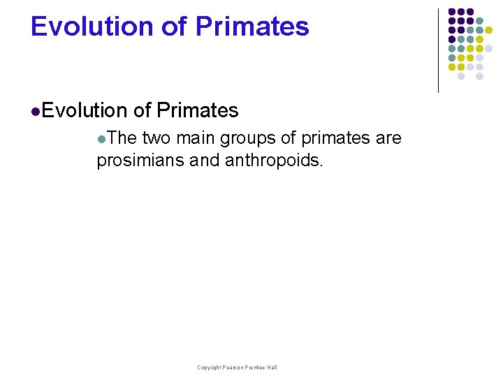 Evolution of Primates l. The two main groups of primates are prosimians and anthropoids.