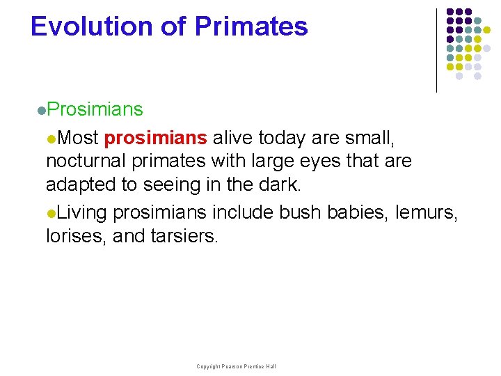 Evolution of Primates l. Prosimians l. Most prosimians alive today are small, nocturnal primates