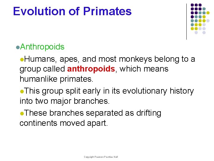 Evolution of Primates l. Anthropoids l. Humans, apes, and most monkeys belong to a