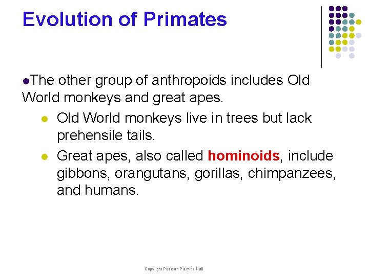 Evolution of Primates l. The other group of anthropoids includes Old World monkeys and