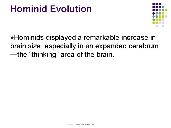 Hominid Evolution l. Hominids displayed a remarkable increase in brain size, especially in an