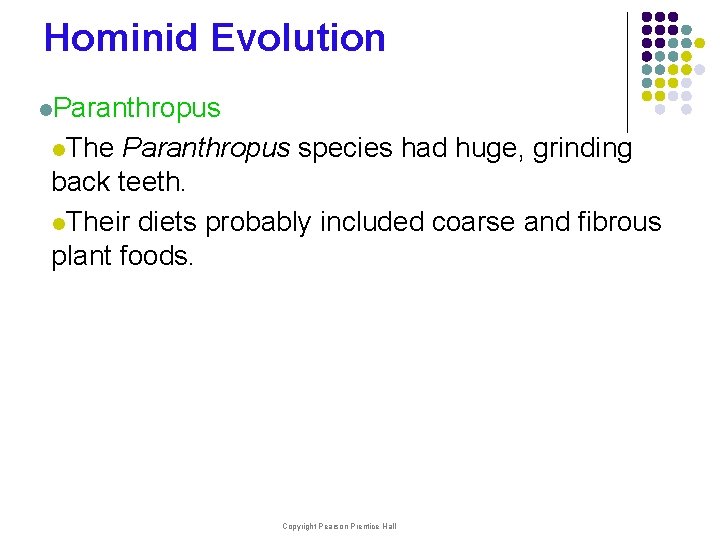 Hominid Evolution l. Paranthropus l. The Paranthropus species had huge, grinding back teeth. l.