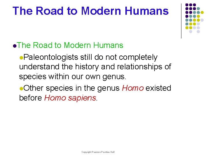 The Road to Modern Humans l. Paleontologists still do not completely understand the history