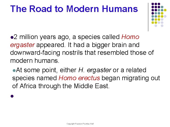 The Road to Modern Humans l 2 million years ago, a species called Homo