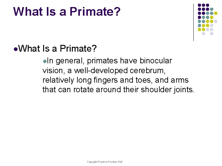 What Is a Primate? l. In general, primates have binocular vision, a well-developed cerebrum,