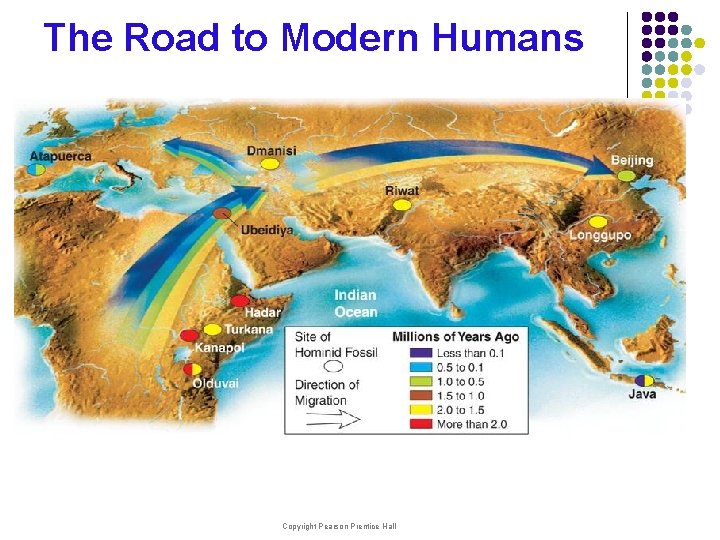 The Road to Modern Humans Copyright Pearson Prentice Hall 