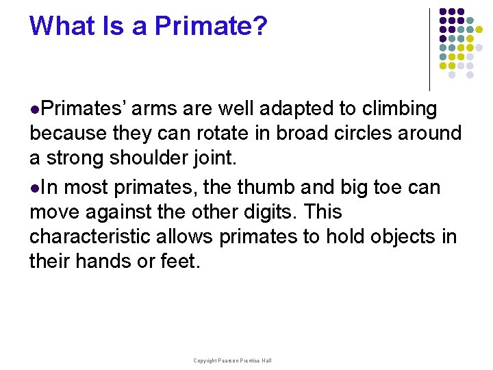 What Is a Primate? l. Primates’ arms are well adapted to climbing because they