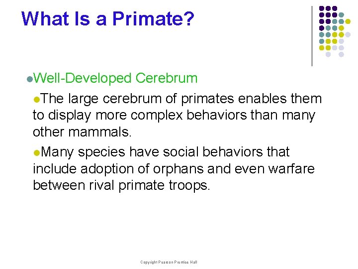 What Is a Primate? l. Well-Developed Cerebrum l. The large cerebrum of primates enables