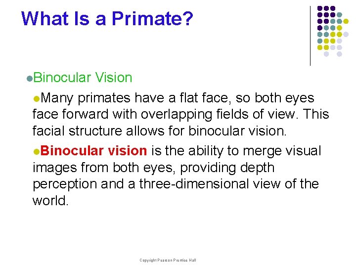 What Is a Primate? l. Binocular Vision l. Many primates have a flat face,