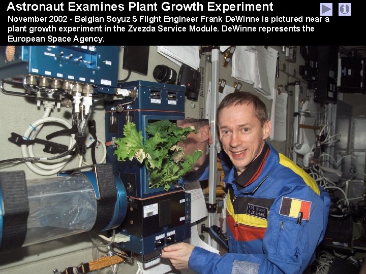 Astronaut Examines Plant Growth Experiment November 2002 - Belgian Soyuz 5 Flight Engineer Frank