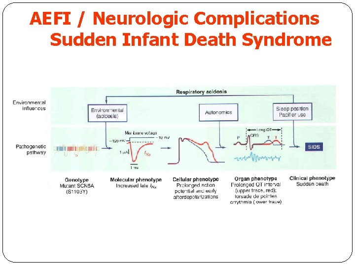 AEFI / Neurologic Complications Sudden Infant Death Syndrome 