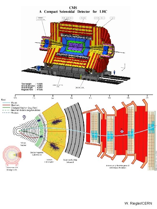 W. Riegler/CERN 