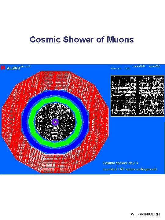Cosmic Shower of Muons W. Riegler/CERN 