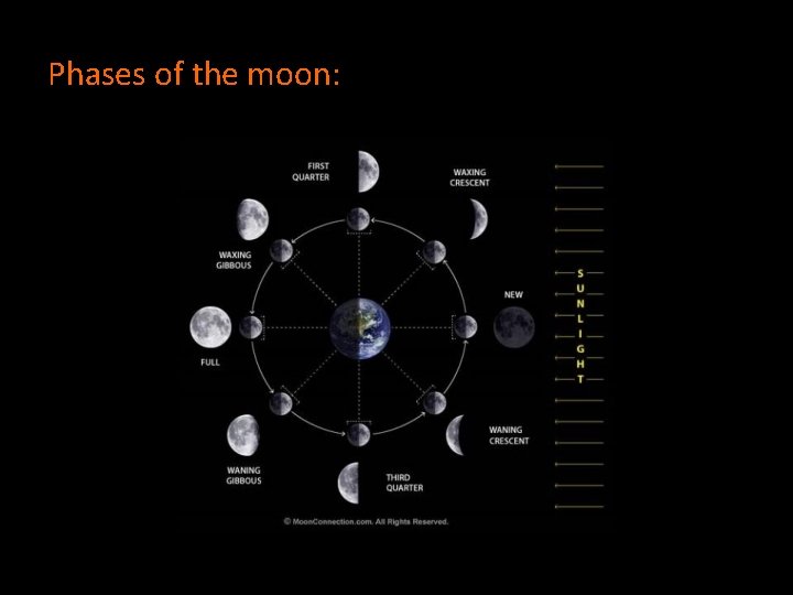 Phases of the moon: 