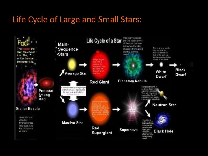 Life Cycle of Large and Small Stars: 