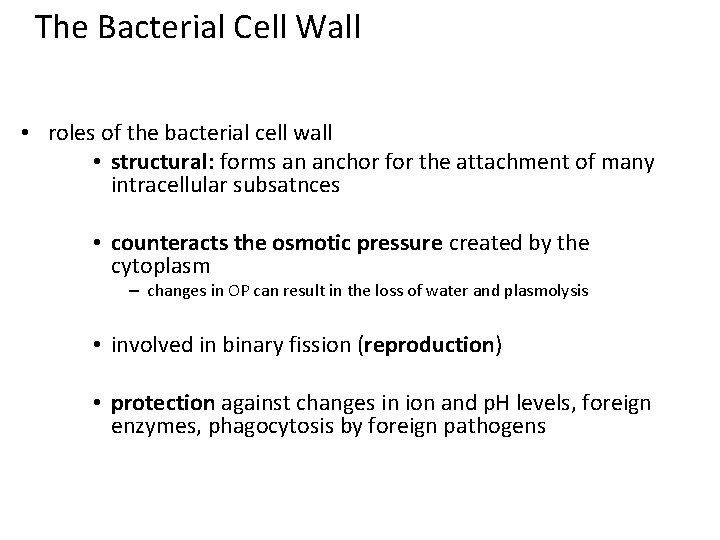 The Bacterial Cell Wall • roles of the bacterial cell wall • structural: forms