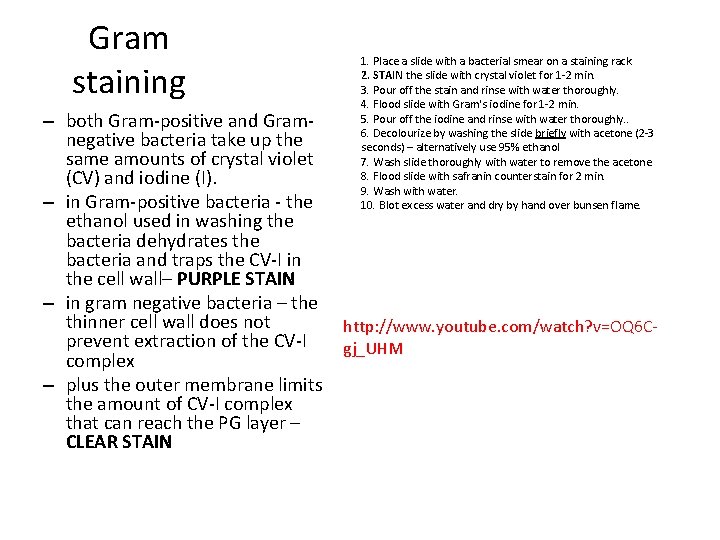 Gram staining – both Gram-positive and Gramnegative bacteria take up the same amounts of
