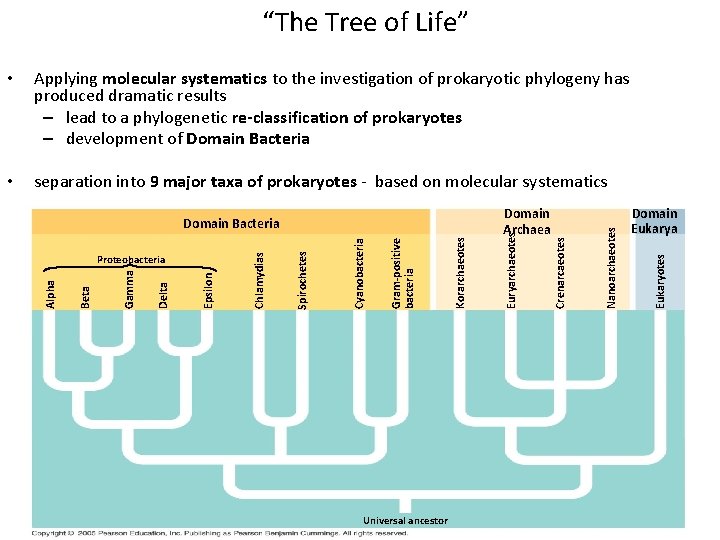 “The Tree of Life” • separation into 9 major taxa of prokaryotes - based