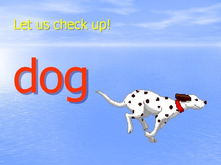 Let us check up! dog 