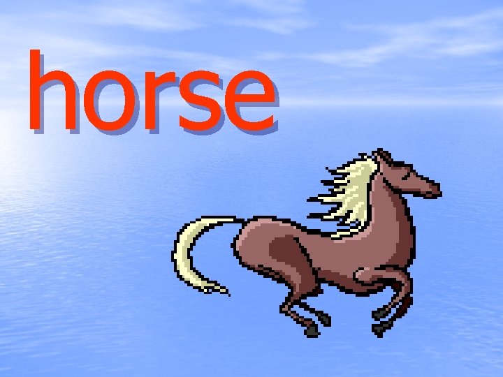 horse 