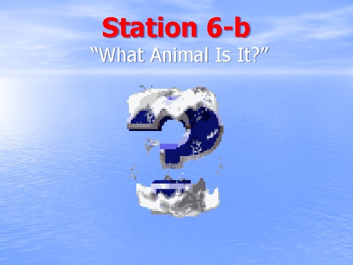 Station 6 -b “What Animal Is It? ” 