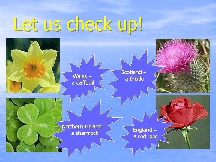 Let us check up! Wales – a daffodil Northern Ireland – a shamrock Scotland